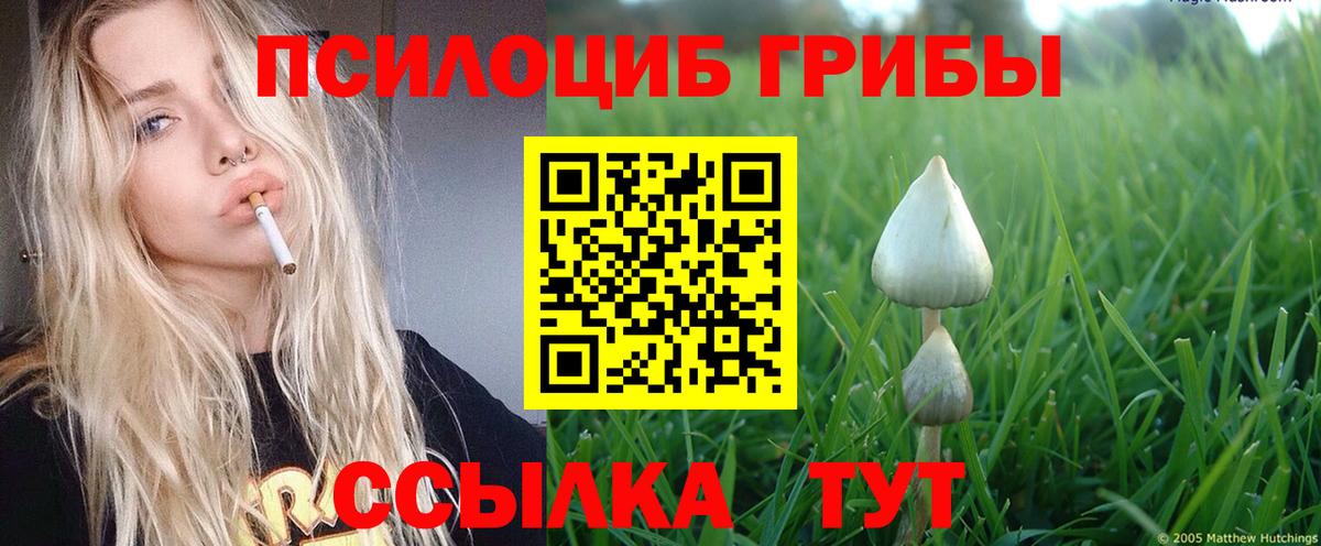 Галлюциногенные грибы Psilocybine cubensis  Вход с VPN  Ноябрьск  Галлюциногенные грибы GOLDEN TEACHER 
