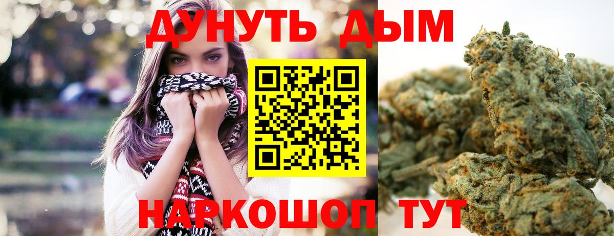 Каннабис OG Kush Ноябрьск